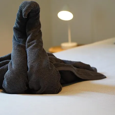 Le Balcon D'auxane - Entre Ciel, Et Montagne Chambon-sur-Lac